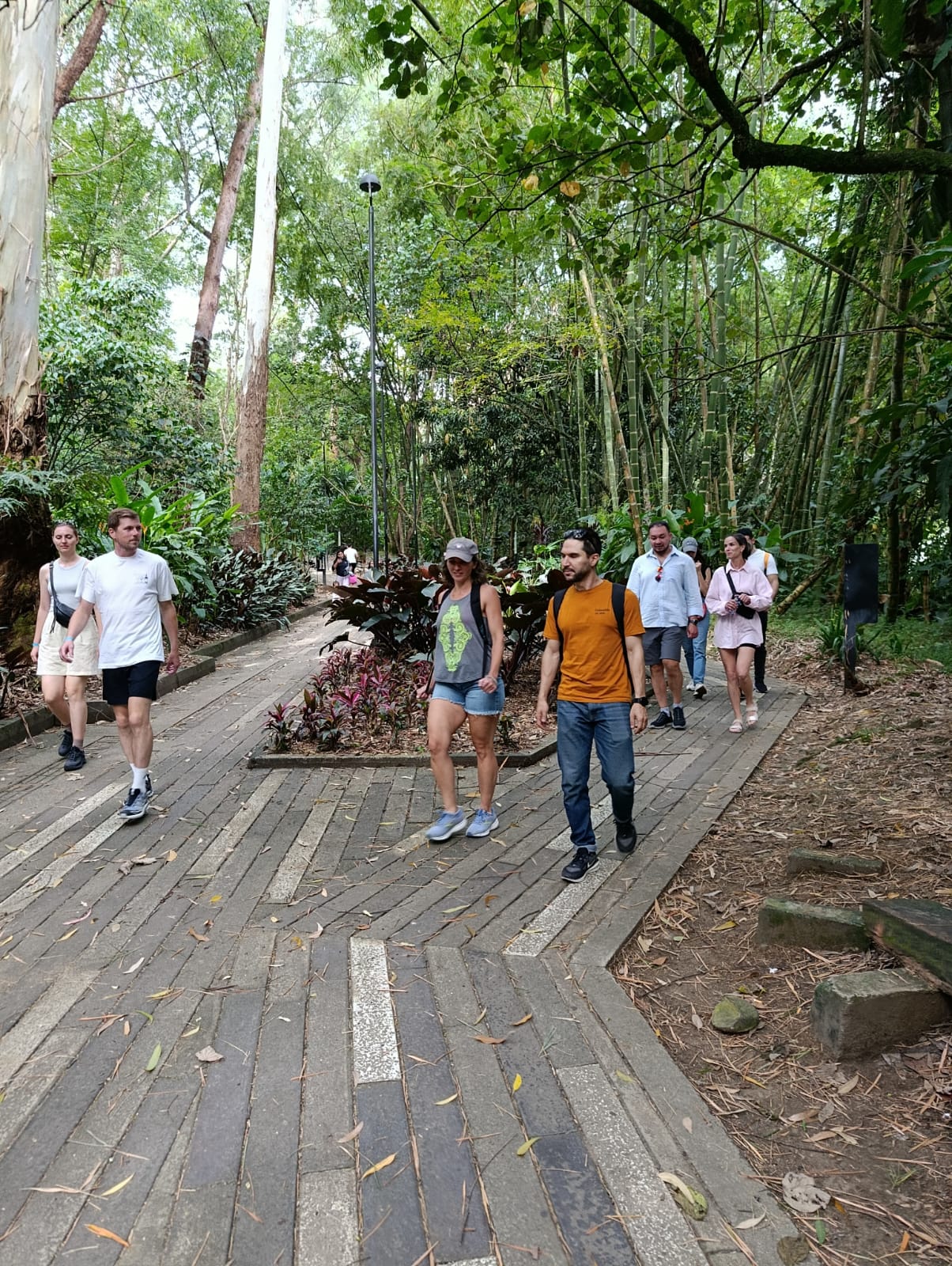 Tour group and guide walking along a brick path through lush tropical gardens in Medellín Colombia