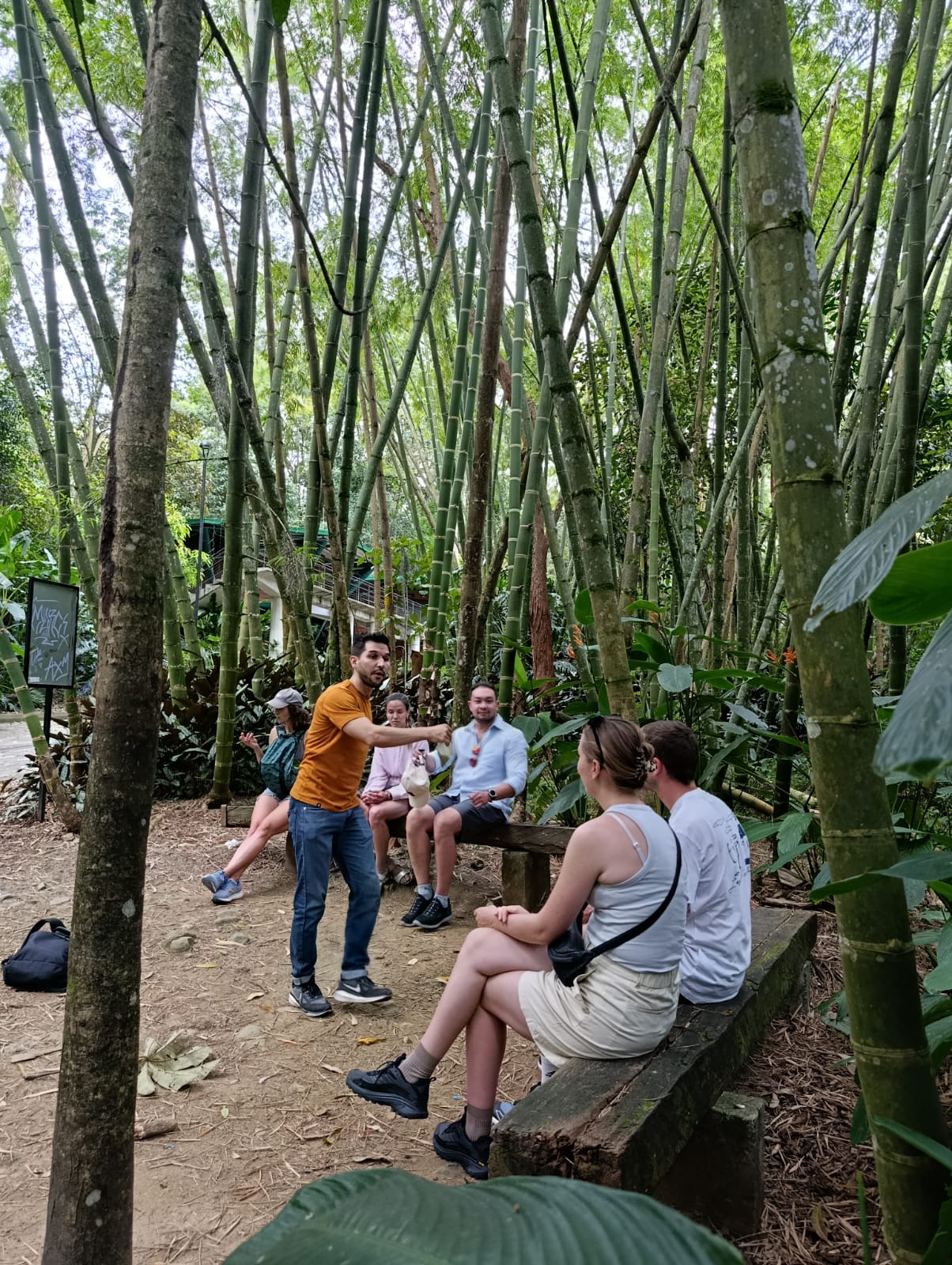 Real City Tours guide in orange shirt talking to tourists seated on benches in a dense bamboo grove